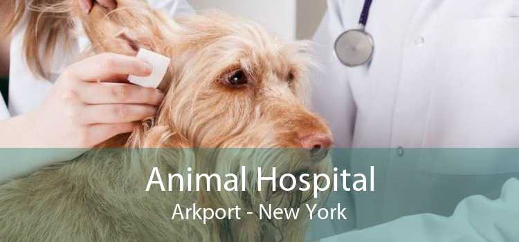 Animal Hospital Arkport - New York