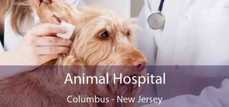 Animal Hospital Columbus - New Jersey