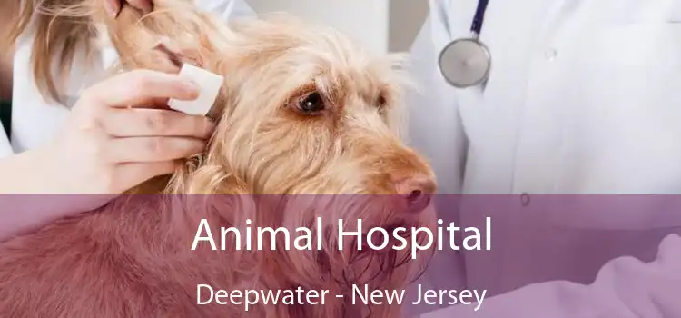Animal Hospital Deepwater - New Jersey