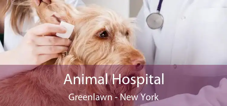 Animal Hospital Greenlawn - New York