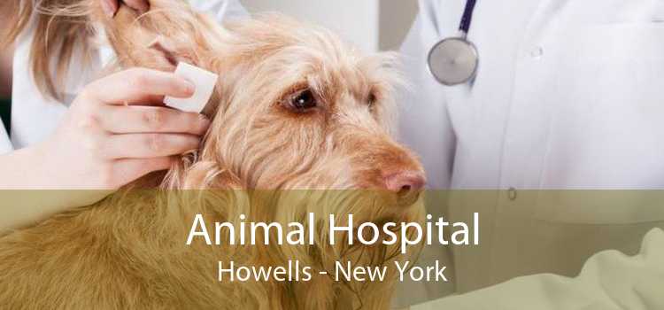 Animal Hospital Howells - New York