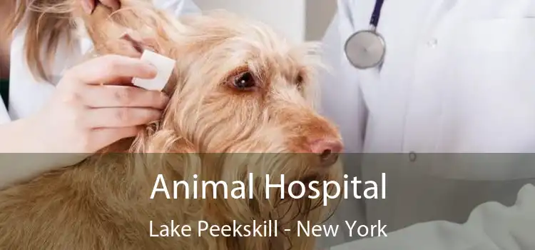 Animal Hospital Lake Peekskill - New York
