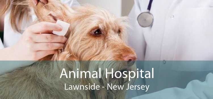 Animal Hospital Lawnside - New Jersey