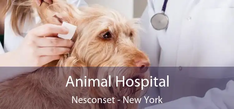 Animal Hospital Nesconset - New York