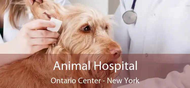Animal Hospital Ontario Center - New York