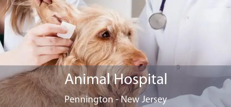 Animal Hospital Pennington - New Jersey