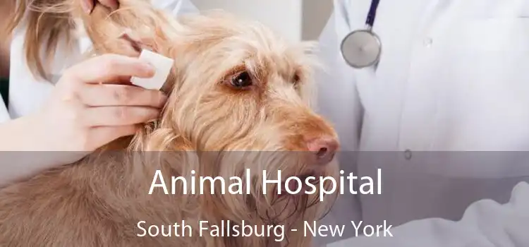 Animal Hospital South Fallsburg - New York