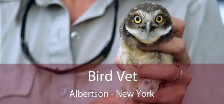 Bird Vet Albertson - New York