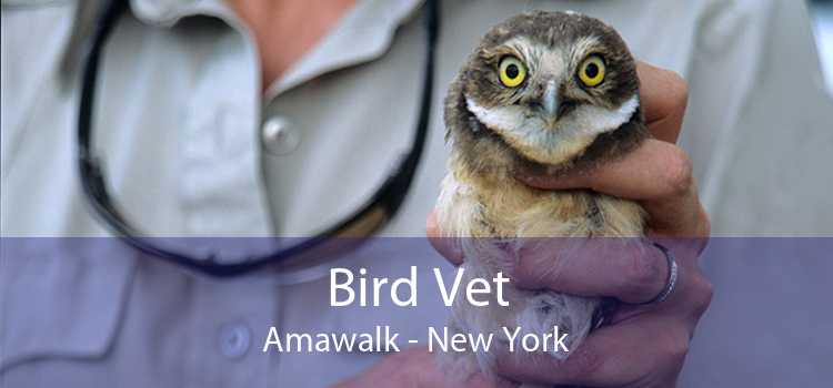 Bird Vet Amawalk - New York