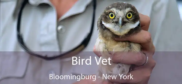 Bird Vet Bloomingburg - New York