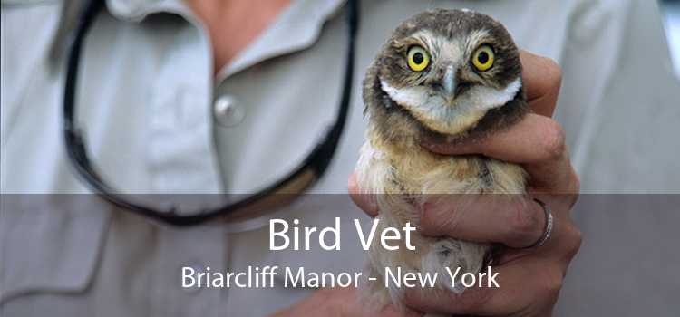Bird Vet Briarcliff Manor - New York