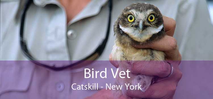 Bird Vet Catskill - New York