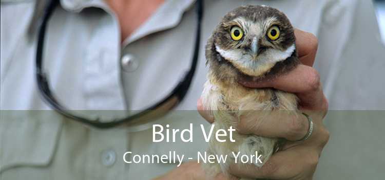 Bird Vet Connelly - New York