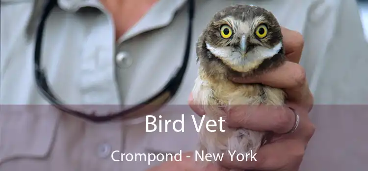 Bird Vet Crompond - New York