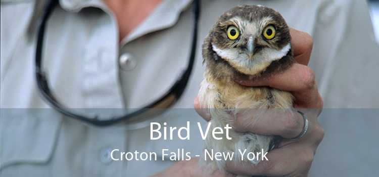 Bird Vet Croton Falls - New York
