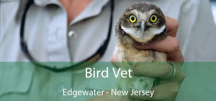 Bird Vet Edgewater - New Jersey
