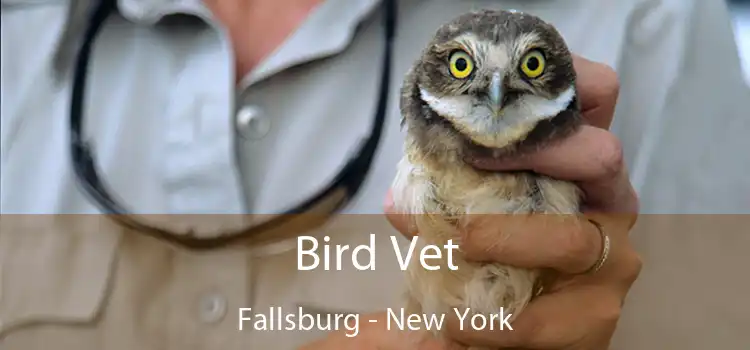 Bird Vet Fallsburg - New York