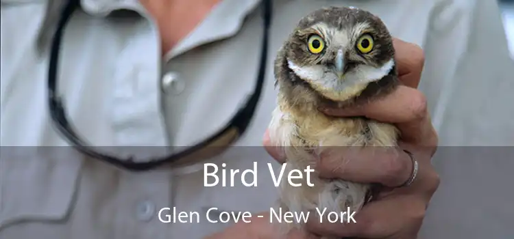 Bird Vet Glen Cove - New York