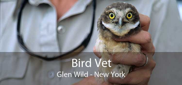Bird Vet Glen Wild - New York