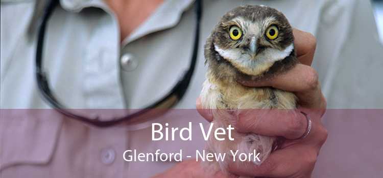Bird Vet Glenford - New York
