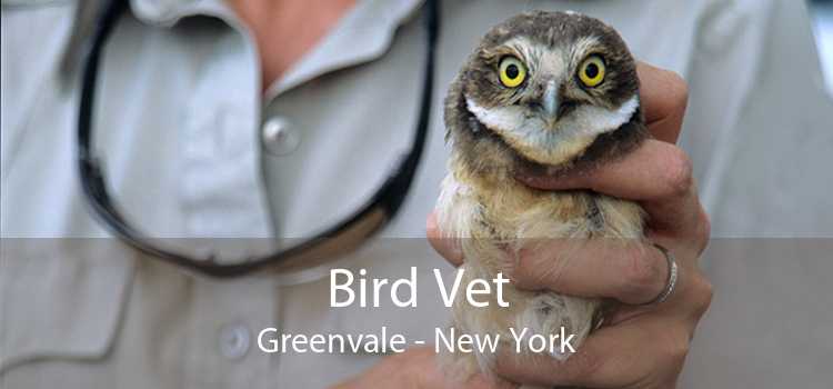 Bird Vet Greenvale - New York