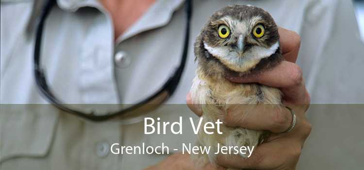 Bird Vet Grenloch - New Jersey