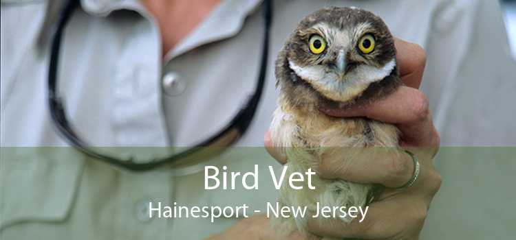 Bird Vet Hainesport - New Jersey