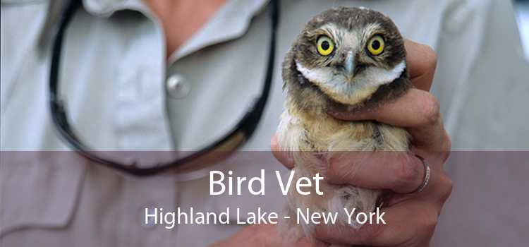Bird Vet Highland Lake - New York