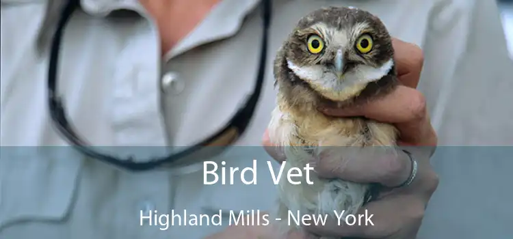 Bird Vet Highland Mills - New York