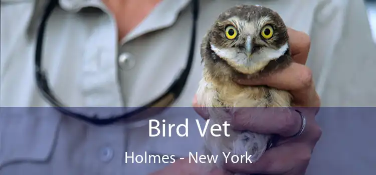 Bird Vet Holmes - New York
