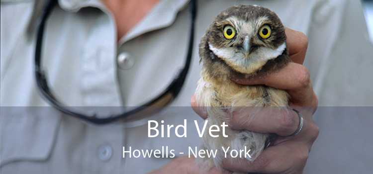 Bird Vet Howells - New York