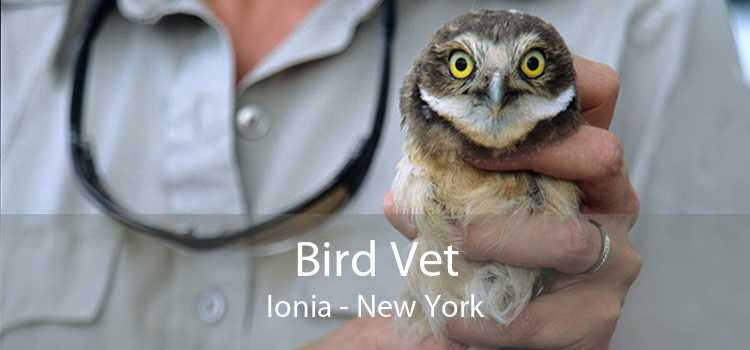 Bird Vet Ionia - New York
