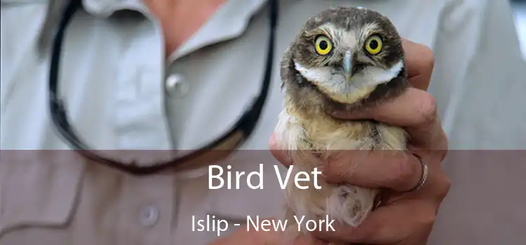 Bird Vet Islip - New York