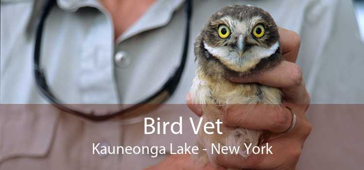 Bird Vet Kauneonga Lake - New York