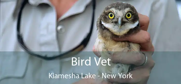 Bird Vet Kiamesha Lake - New York