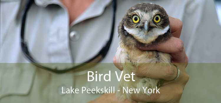 Bird Vet Lake Peekskill - New York