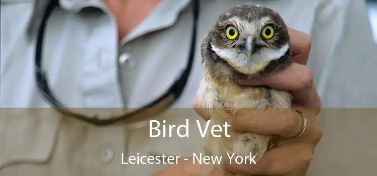 Bird Vet Leicester - New York