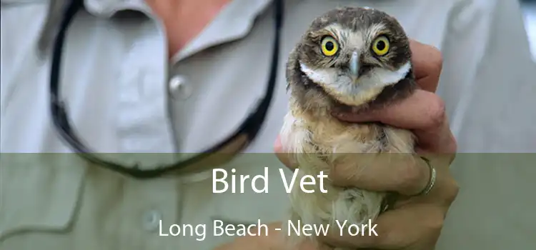 Bird Vet Long Beach - New York