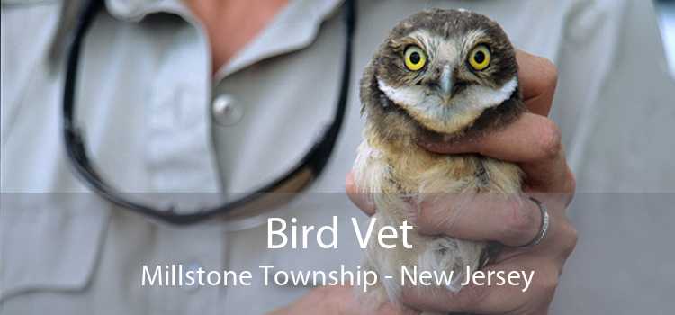 Bird Vet Millstone Township - New Jersey