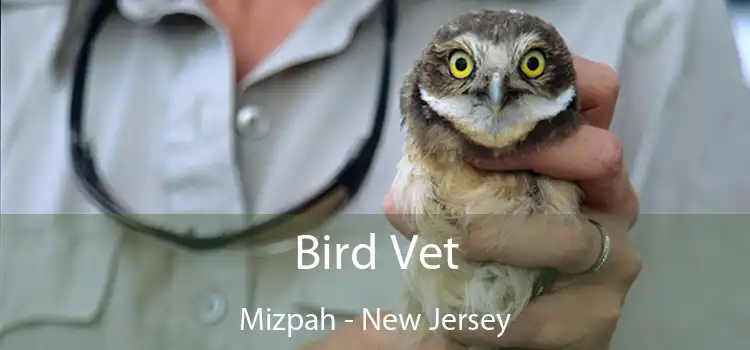 Bird Vet Mizpah - New Jersey