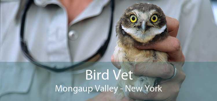 Bird Vet Mongaup Valley - New York
