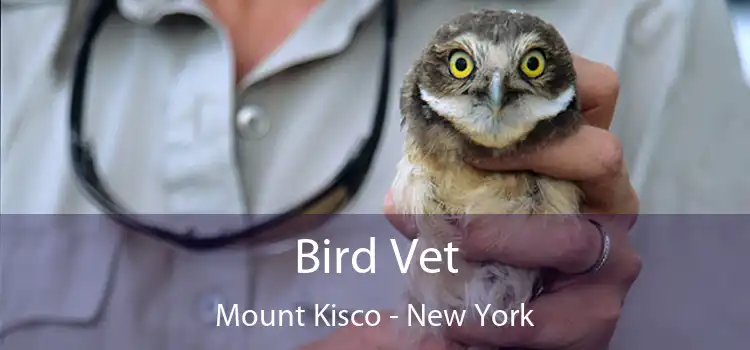 Bird Vet Mount Kisco - New York