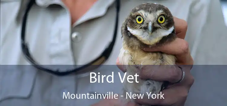 Bird Vet Mountainville - New York