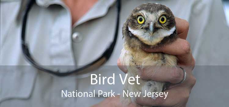 Bird Vet National Park - New Jersey