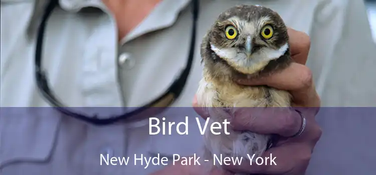 Bird Vet New Hyde Park - New York