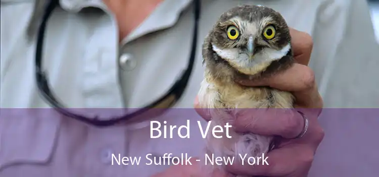 Bird Vet New Suffolk - New York