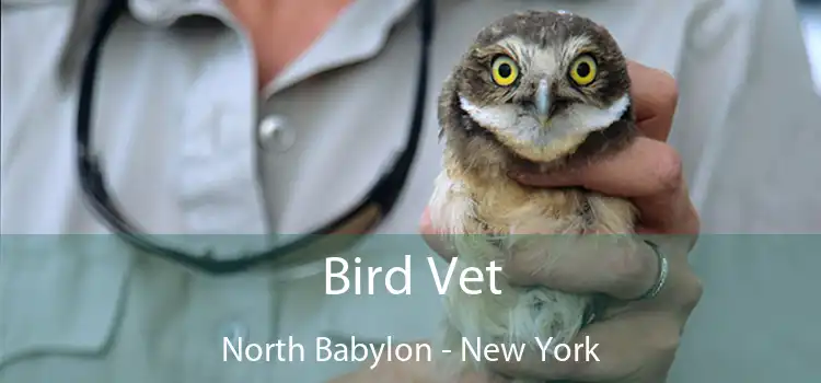 Bird Vet North Babylon - New York