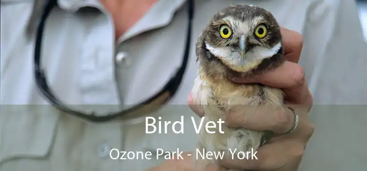 Bird Vet Ozone Park - New York
