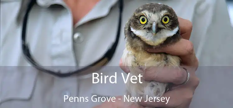 Bird Vet Penns Grove - New Jersey