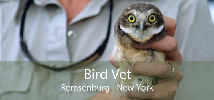 Bird Vet Remsenburg - New York
